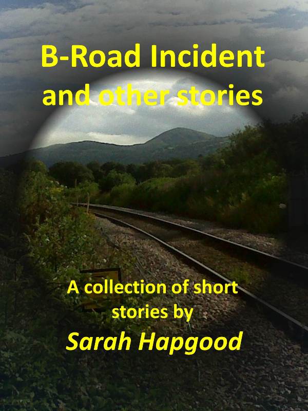 Cover of Sarah Hapgood's B-road Incident and other stories